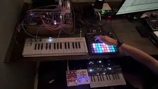 While They’re Young | Lo fi jam, Circuit Tracks, Microfreak, Eurorack