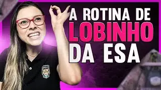 🇧🇷 Como foi o meu Primeiro ano como Sargento na Tropa. (Sargento tem vida?)