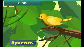 Birds Name for KG Class | learn birds name english