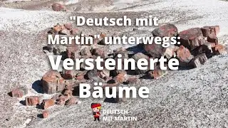 Deutsch unterwegs: Versteinerte Fehler