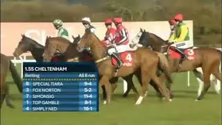 2016 Shloer Chase - Cheltenham Open