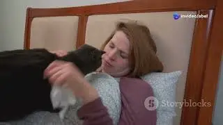 Why Does Your Cat Sleep With You? Cat Behavior Explained
