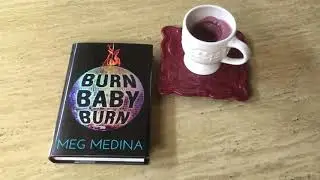 Book Review of BURN BABY BURN | Good Read | High School recommended Novel