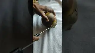 #Shorts| Ice Apple Cutting || Easy &Simple Cutting