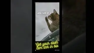 FUNNY DASH CAM MOMENTS CAUGHT ON FILM #SHORTS