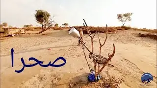Life in Thal desert 🏜️- episode 1- Deserts in Pakistan