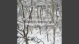 Walking In A Winter Wonderland
