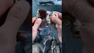 amazing color in tiny stone |tiny micro