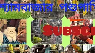 Shayam bazar pets market. #birds#dog#viral#shorts#plant#rabbit