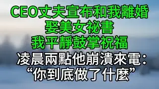 CEO丈夫宣布和我離婚娶美女祕書，我平靜鼓掌祝福，凌晨兩點他崩潰來電：“你到底做了什麼”#深夜淺讀 #夜讀人生 #大橘講故事 #情感故事 #講故事 #幸福生活 #深夜故事