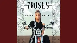7 Roses