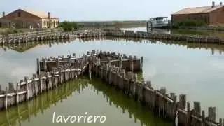 in barca nelle valli di comacchio