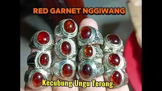 Red Garnet Nggiwang dan Kecubung Ungu Terong #542