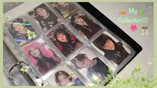 My Red Velvet collection (tiny and some etc) 🍀🐠🌺