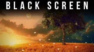 Realize You're In A Dream | Binaural Beats Sleep Music for Lucid Dreaming & Conscious Sleep