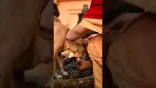 Winter Every | Winter Cold And Ice Poem | Winter Iife In Himalayas | Winter Skin Care | Winter Bear