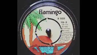 The Regiment - Burning World (1980 UK Roots)