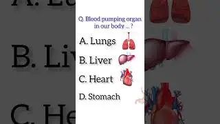 Human heart Mcqs 🫀 #biology #mdcat2023 #heart #youtubeshorts  #shorts