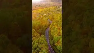 AINDA EXISTEM FLORESTAS INTOCADAS.