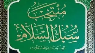 المحاضرة (26) منتخب سبل السلام المعاملات {أحكام المضاربة مسألة 194 إلى 195 }السيد كريم الجيزاني