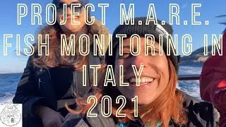 Fish monitoring (ERASMUS+ volunteering in Italy)