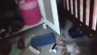 Part 1 hi!!