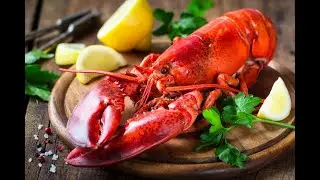 Best Seafood Restaurants in New York City