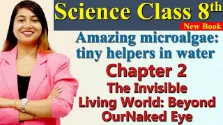Amazing Microalgae: Tiny Helpers,Chapter 2 PART 8, The Invisible Living World, Science Class 8 NCERT