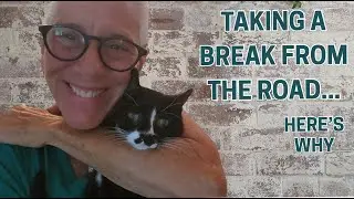 Van Life Paused – Back Home with My Senior Cat  |  plus Grocery Haul and What's Cooking!!