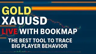 BOOKMAP LIVE | GOLD FUTURES | GC  - XAUUSD | Liquidity | Heatmap #livetrade #livegold #bookmaplive