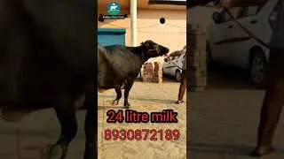 Best Farm in karnal