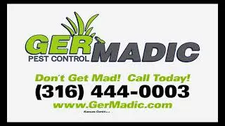 Wichita KS Bed Bug Removal