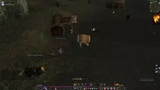 Blackwood Fruit Sample (quest item), WoW Classic
