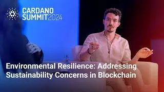 Environmental Resilience: Addressing Sustainability Concerns in Blockchain