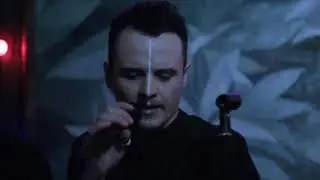 zerno live 4 friends
