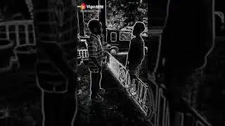 Download this app vigo video(1)