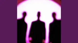 Shot In The Dark