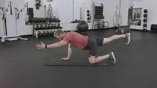 Quadruped Opposite Arm Leg Extension