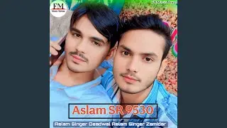 Aslam SR 9530
