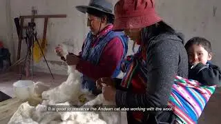 Andean Cat Alliance CATCrafts Conservation program