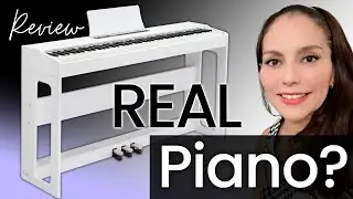 Best Digital Piano for Beginners under $500? Truly Weighted Keys? #piano