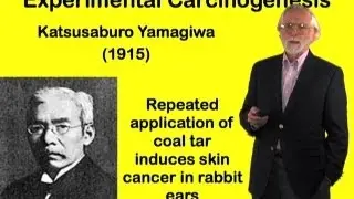 Carcinogens - J. Michael Bishop (UCSF)