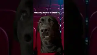 Watching Movies In Brazil 🇧🇷