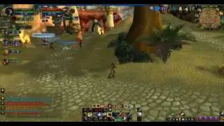 Yumfries - Twink Hunter PVP - 10-19 Bracket