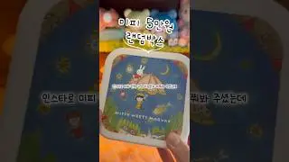 미피 5만원 랜덤박스🐰#포장#포장영상#포장계#포용#포용계#미피#랜덤#박스#랜박#랜덤박스#asmr#packing#고전#문구#문구덕후#sanrio#도시락통#보관함