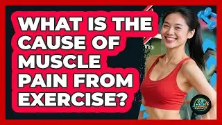 What Is The Cause Of Muscle Pain From Exercise?