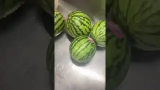 So Delicious Japanese Mini Watermelon||Japanese Melon#Shorts