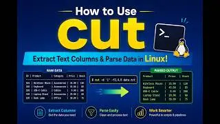 How to Use cut – Extract Text Columns & Parse Data in Linux!