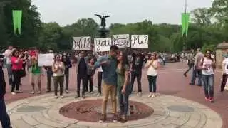 Vincent's Central Park Wedding Proposal