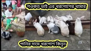 পানির দামে খরগোশ কিনুন